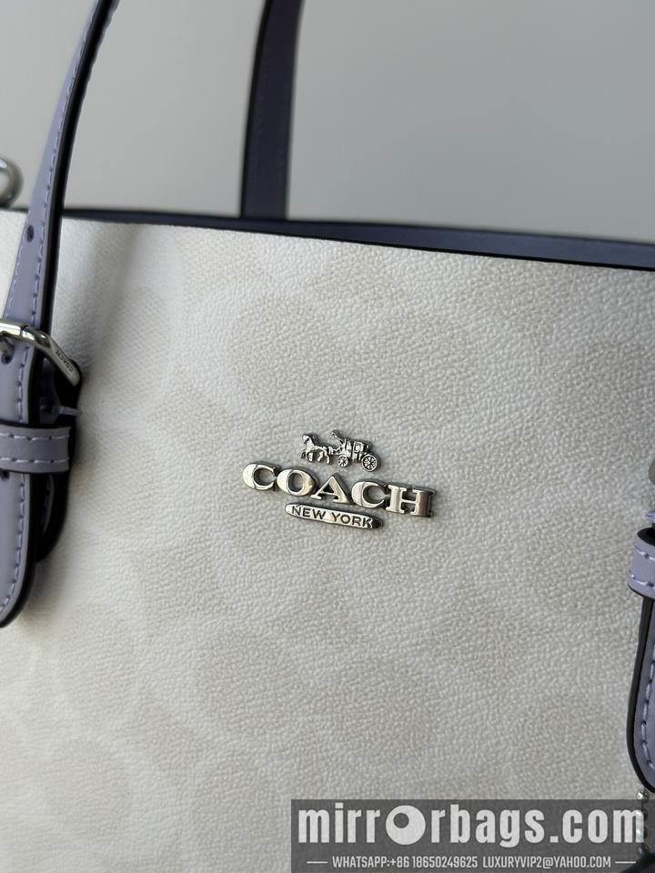 Replica Coach Bags C4250 25X19X12.5cm AZ 5
