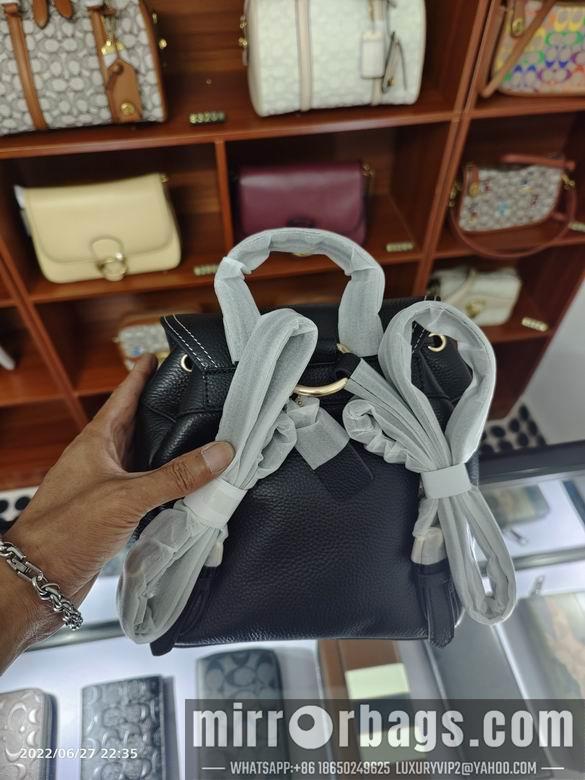 Replica Coach Bags C4121 22x21x10cm YG 1