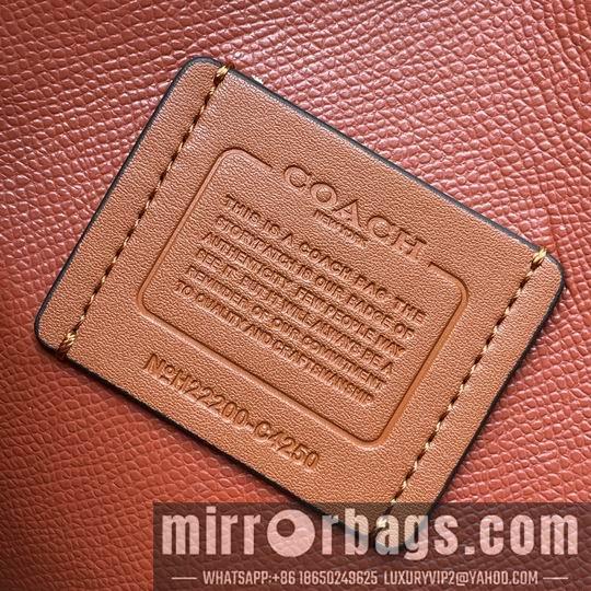 Replica Coach Bags C4250 25X19X12.5cm AZ 3