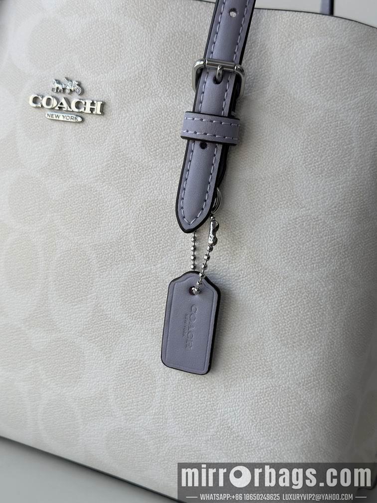 Replica Coach Bags C4250 25X19X12.5cm AZ 5