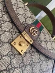 Replica Gucci Bags 1:1 Gucci Orphidia 651055 25x17.5x7cm ww3色