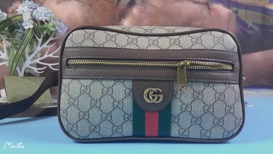 Replica Gucci Bags 1:1 Gucci ocnea 22cm zy