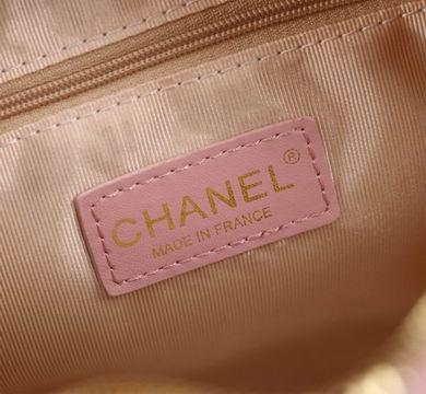 1:1 Replica Chanel Bags 8827 25X14X9cm WO 4colour