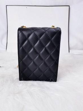 1:1 Replica Chanel Bags 5871 18X7cm  WO