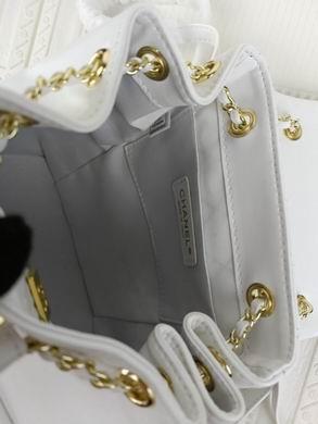 1:1 Replica Chanel Bags 208 22X23X13cm WO 2colour