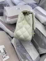 1:1 Replica Chanel Bags BT1786  17cm