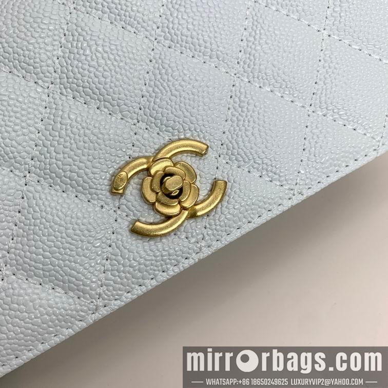 1:1 Replica Chanel Bags Chanel 6008 22x10x4cm zy