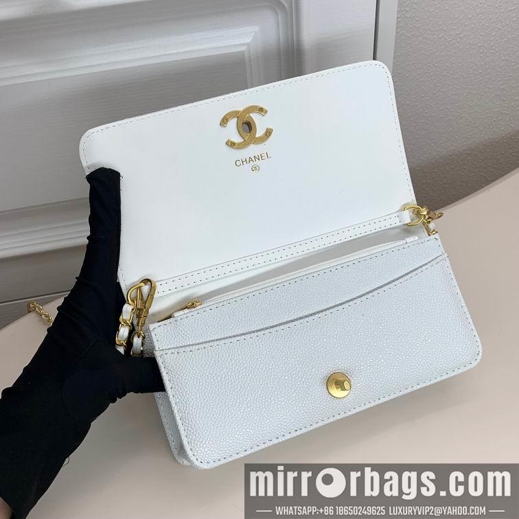 1:1 Replica Chanel Bags Chanel 6008 22x10x4cm zy