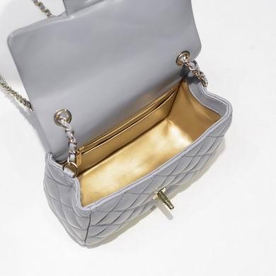 1:1 Replica Chanel Bags AS1786 18X13X7CM WO-1