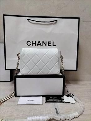 1:1 Replica Chanel Bags WO81135 19X13X6