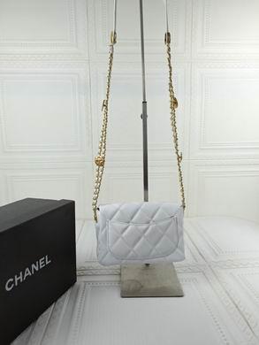 1:1 Replica Chanel Bags 722 17X13X5cm WO