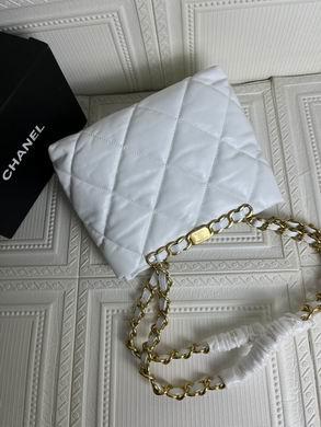 1:1 Replica Chanel Bags 33816 24X29X10cm WO 2colour