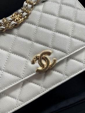 1:1 Replica Chanel Bags 19X12X3.5cm 092702