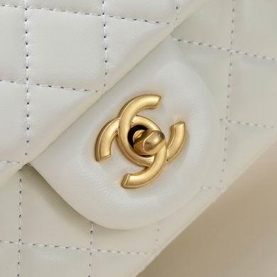 1:1 Replica Chanel Bags AS2431 20X12X6CM WO 2colour