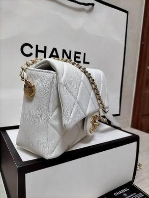 1:1 Replica Chanel Bags WO81135 19X13X6