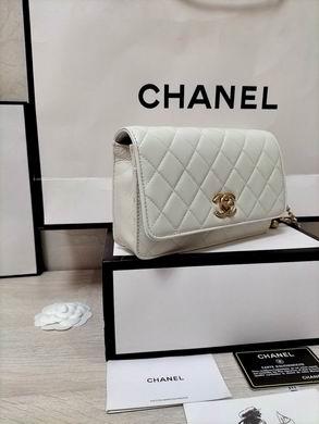 1:1 Replica Chanel Bags AP1450 19.2X12.3X3.5cm WO