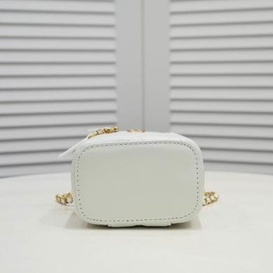 1:1 Replica Chanel Bags 8101 11X8.5X7cm WO