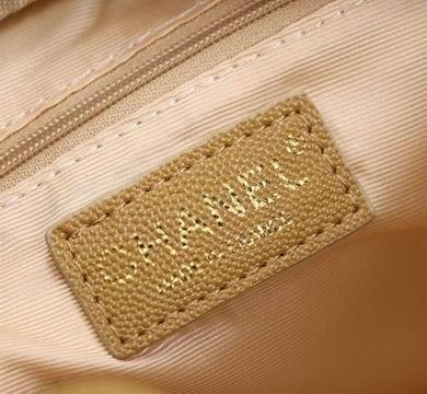 1:1 Replica Chanel Bags 8827 25X14X9cm WO 4colour