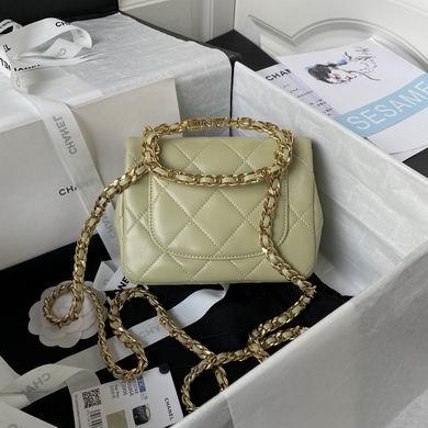 1:1 Replica Chanel Bags AS3748 17X13X6cm WO 4colour