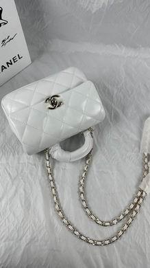 1:1 Replica Chanel Bags 240 14X20X7cm WO 3colour