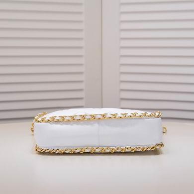 1:1 Replica Chanel Bags AS3470 23X21X5cm WO 2colour