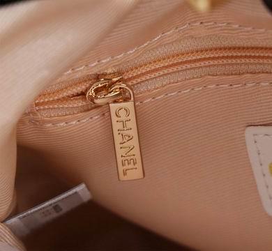 1:1 Replica Chanel Bags 8841 22X23X5.5cm WO 2colour