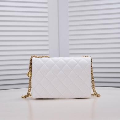 1:1 Replica Chanel Bags 3330 22X4X16cm WO 3colour