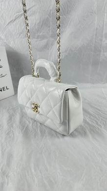 1:1 Replica Chanel Bags 240 14X20X7cm WO 3colour