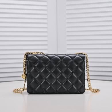 1:1 Replica Chanel Bags 3330 22X4X16cm WO 3colour