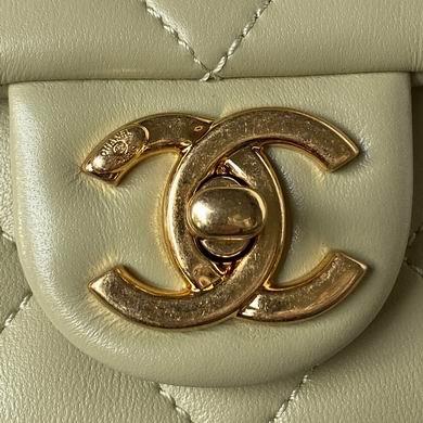 1:1 Replica Chanel Bags AS3748 17X13X6cm WO 4colour