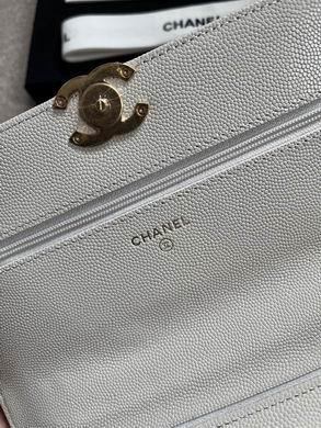 1:1 Replica Chanel Bags 19X12X3.5cm 092702