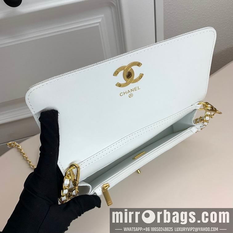 1:1 Replica Chanel Bags Chanel 6008 22x10x4cm zy