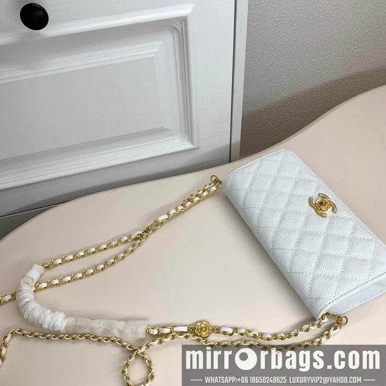 1:1 Replica Chanel Bags Chanel 6008 22x10x4cm zy