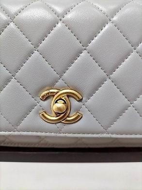 1:1 Replica Chanel Bags AP1450 19.2X12.3X3.5cm WO