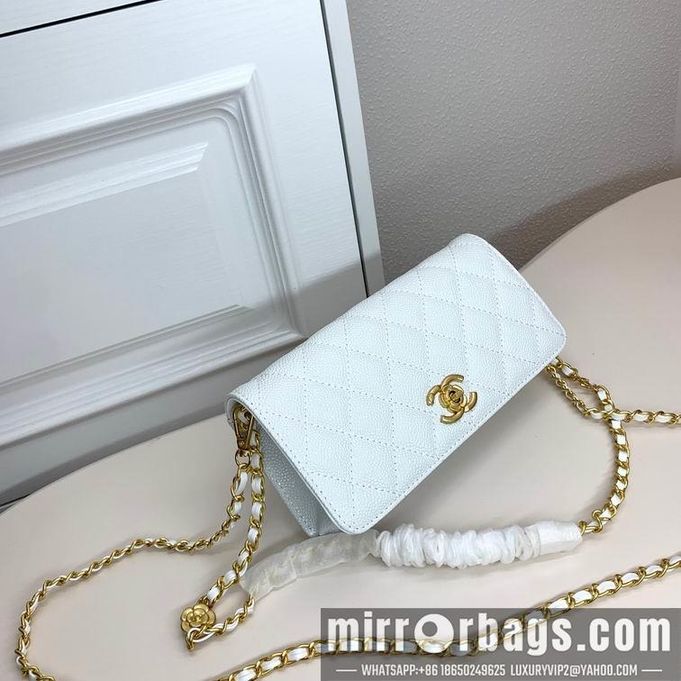 1:1 Replica Chanel Bags Chanel 6008 22x10x4cm zy