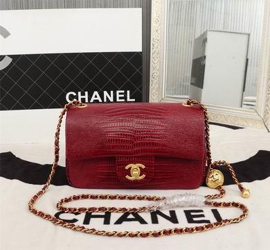 1:1 Replica Chanel Bags 8942 13X20X7cm WO