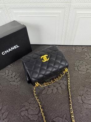 1:1 Replica Chanel Bags 735 20X14X8cm WO 2colour