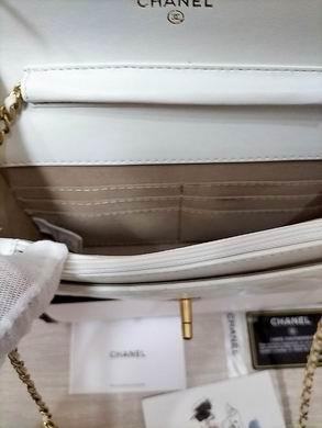1:1 Replica Chanel Bags AP1450 19.2X12.3X3.5cm WO
