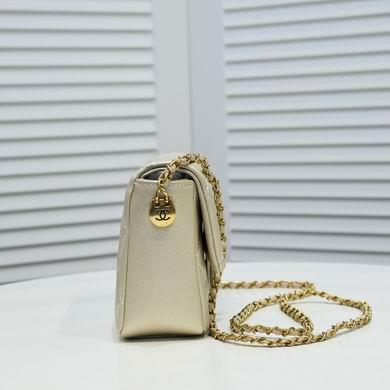1:1 Replica Chanel Bags A2855 19X13X6CM WO 4colour