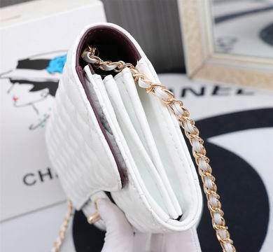 1:1 Replica Chanel Bags 33815 25X15X3CM WO 4colour