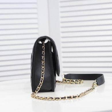 1:1 Replica Chanel Bags WO303 23.5X15X6