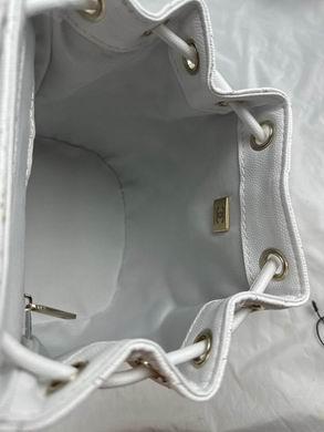 1:1 Replica Chanel Bags 917 23X18X10cm WO 3colour