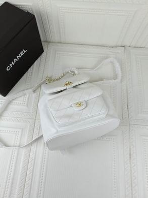 1:1 Replica Chanel Bags 208 22X23X13cm WO 2colour