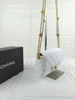 1:1 Replica Chanel Bags 722 21X14.5X6cm WO