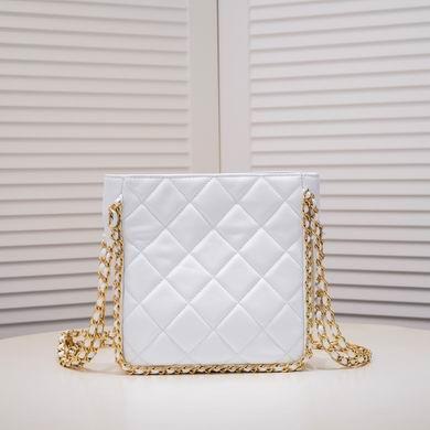1:1 Replica Chanel Bags AS3470 23X21X5cm WO 2colour
