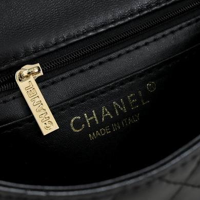 1:1 Replica Chanel Bags 2431 20X14X7cm WO 2colour