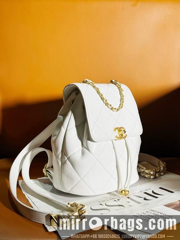 1:1 Replica Chanel Bags AS4866 20X19X12cm WO 3colour