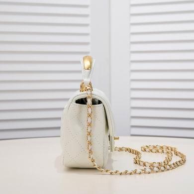 1:1 Replica Chanel Bags AS2431 20X12X6CM WO 2colour