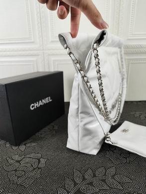 1:1 Replica Chanel Bags 207-1中39X42X8cm 小35X37X7cm WO 3