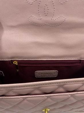 1:1 Replica Chanel Bags 3320 25X7X18cm WO 4